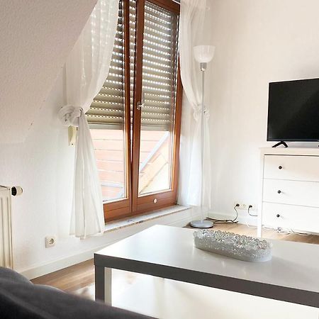 Schoenes 1 Zimmer Apartment Mit Dachterrasse Glauchau Zewnętrze zdjęcie