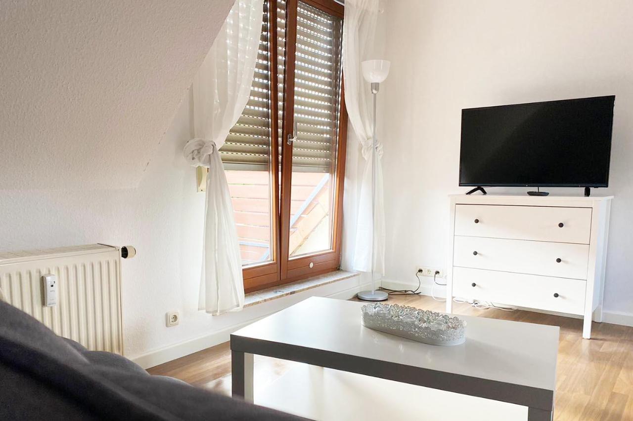 Schoenes 1 Zimmer Apartment Mit Dachterrasse Glauchau Zewnętrze zdjęcie