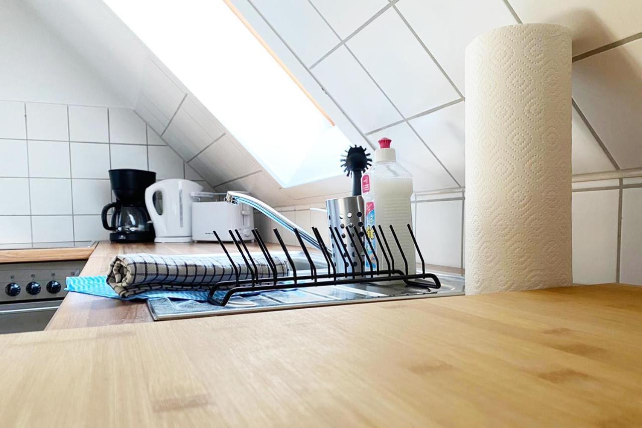 Schoenes 1 Zimmer Apartment Mit Dachterrasse Glauchau Zewnętrze zdjęcie