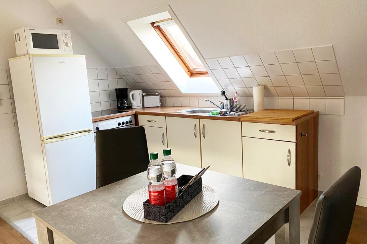 Schoenes 1 Zimmer Apartment Mit Dachterrasse Glauchau Zewnętrze zdjęcie
